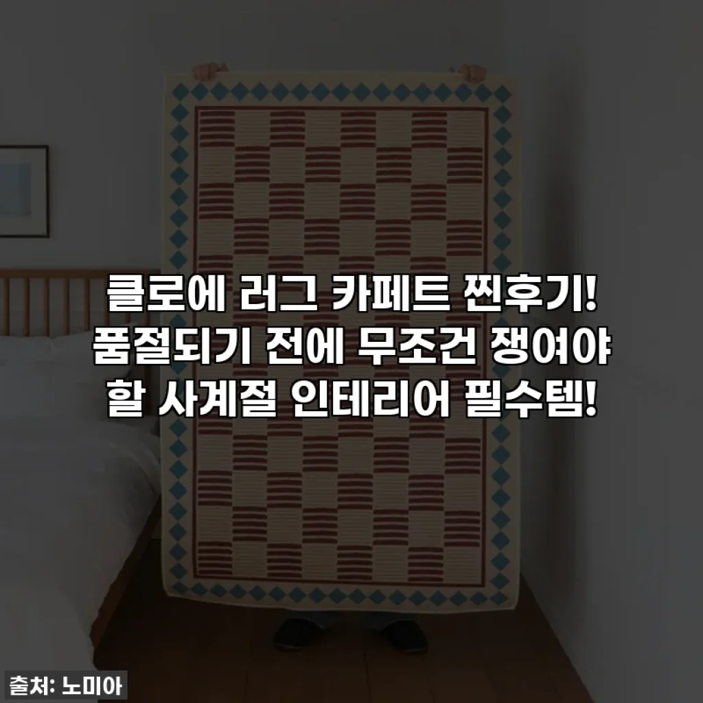 클로에 러그 카페트 찐후기! 품절되기 전에 무조건 쟁여야 할 사계절 인테리어 필수템!