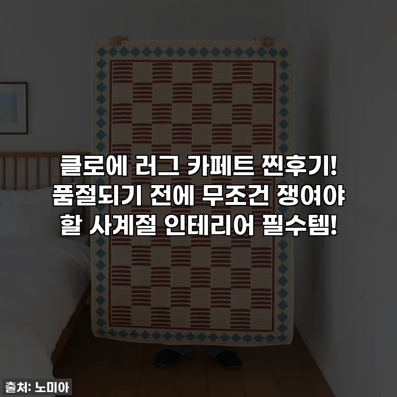 클로에 러그 카페트 찐후기! 품절되기 전에 무조건 쟁여야 할 사계절 인테리어 필수템!