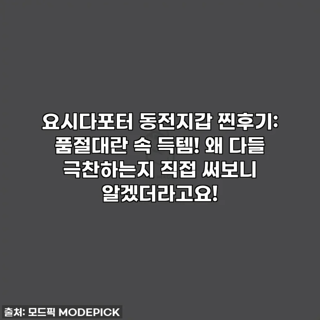 요시다포터 동전지갑 찐후기: 품절대란 속 득템! 왜 다들 극찬하는지 직접 써보니 알겠더라고요!