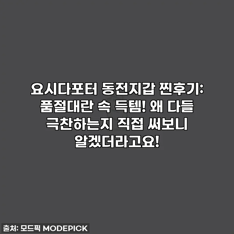 요시다포터 동전지갑 찐후기: 품절대란 속 득템! 왜 다들 극찬하는지 직접 써보니 알겠더라고요!
