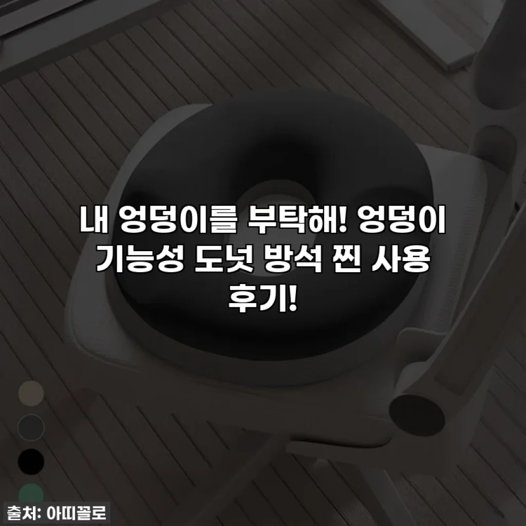 내 엉덩이를 부탁해! 엉덩이 기능성 도넛 방석 찐 사용 후기!