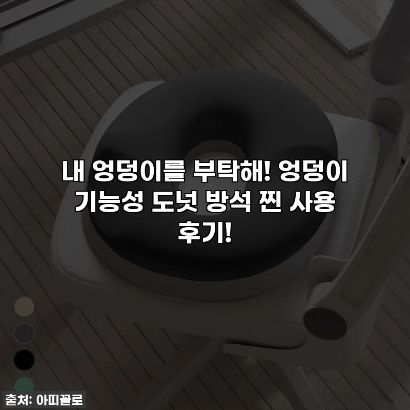 내 엉덩이를 부탁해! 엉덩이 기능성 도넛 방석 찐 사용 후기!