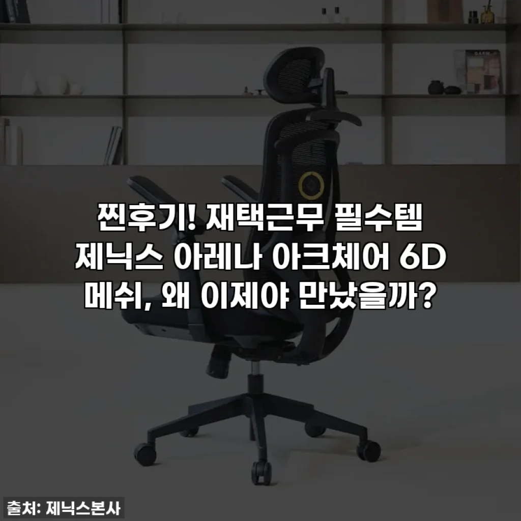 찐후기! 재택근무 필수템 제닉스 아레나 아크체어 6D 메쉬, 왜 이제야 만났을까?