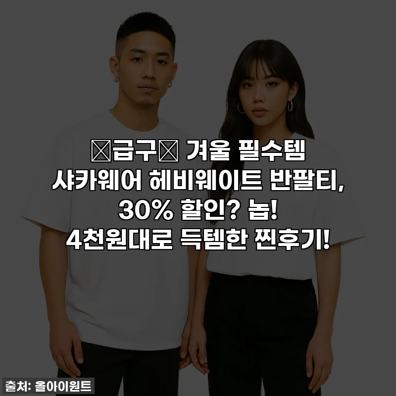 🌟급구🌟 겨울 필수템 샤카웨어 헤비웨이트 반팔티, 30% 할인? 놉! 4천원대로 득템한 찐후기!