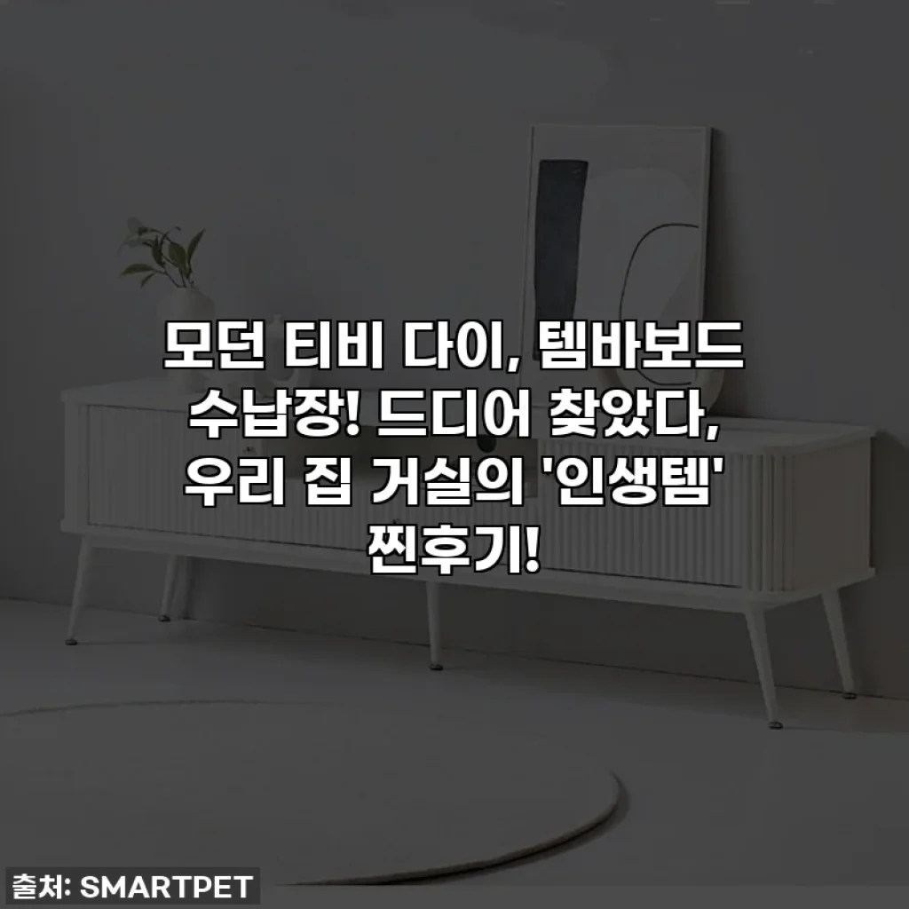 모던 티비 다이, 템바보드 수납장! 드디어 찾았다, 우리 집 거실의 '인생템' 찐후기!