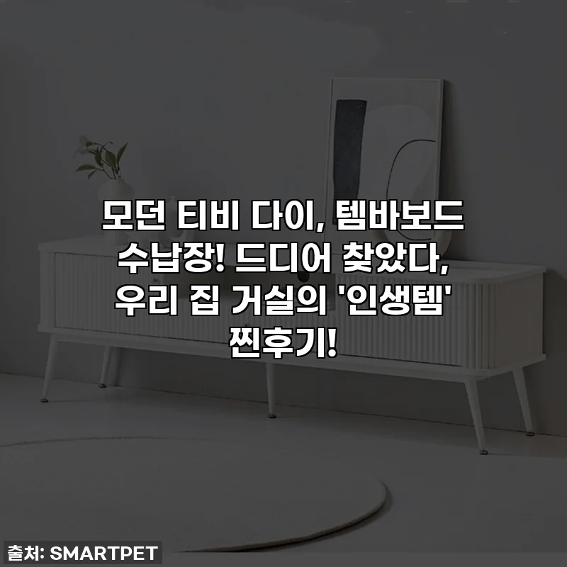 모던 티비 다이, 템바보드 수납장! 드디어 찾았다, 우리 집 거실의 '인생템' 찐후기!