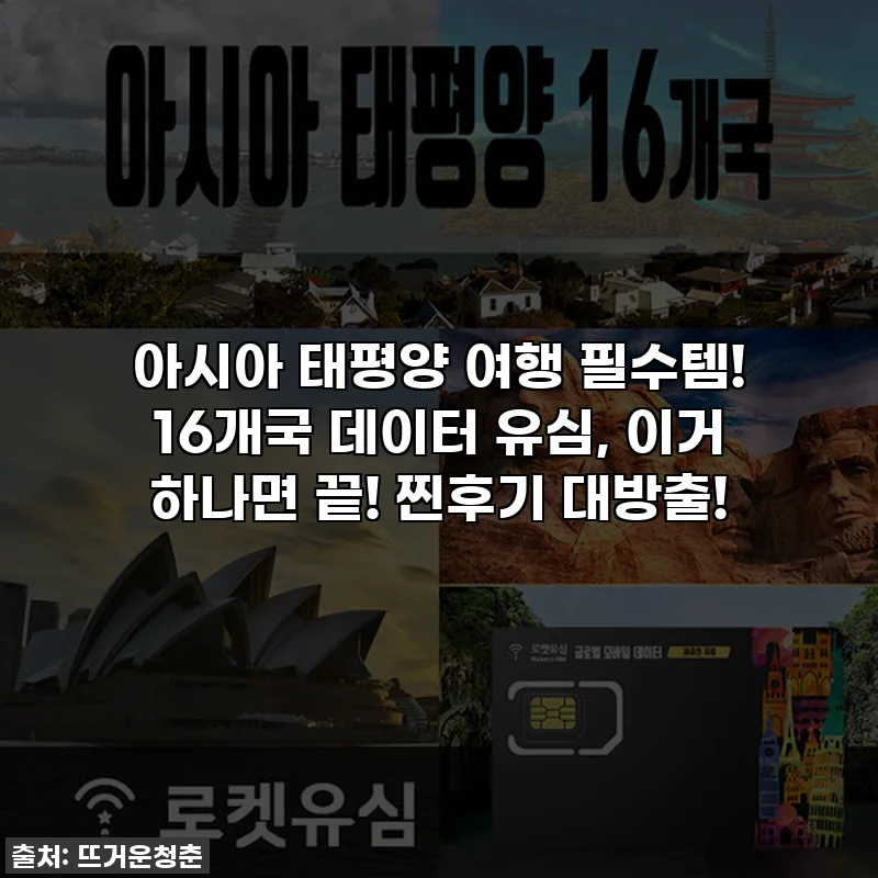 아시아 태평양 여행 필수템! 16개국 데이터 유심, 이거 하나면 끝! 찐후기 대방출!