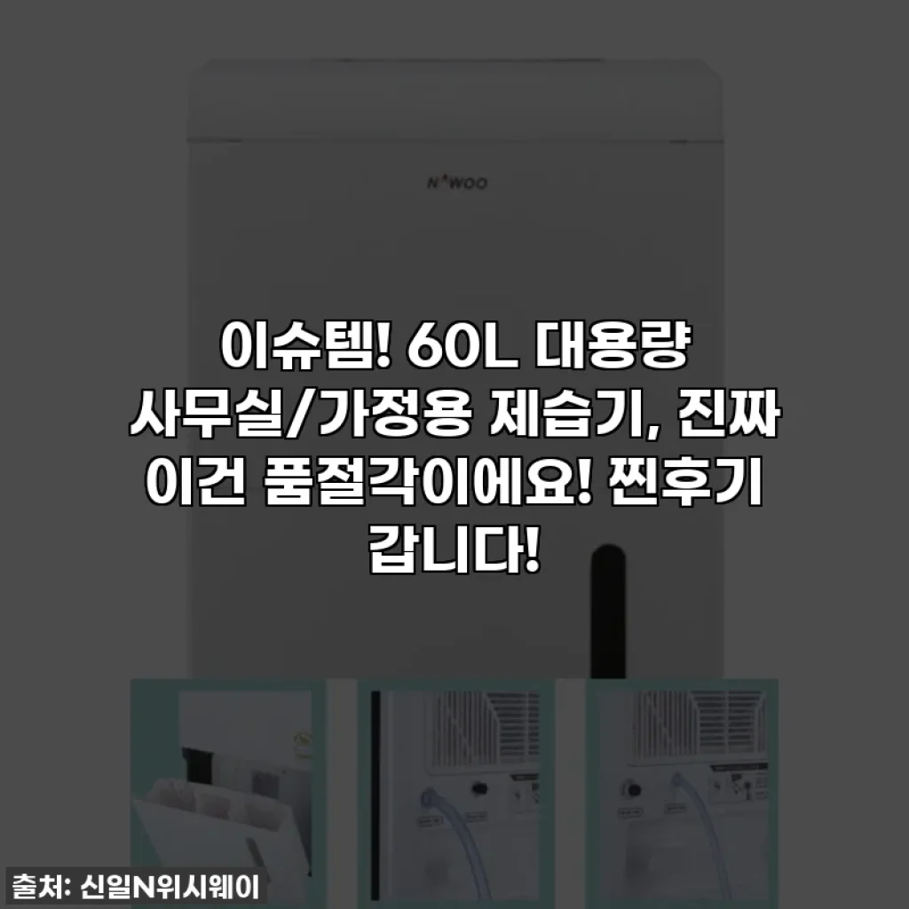 이슈템! 60L 대용량 사무실/가정용 제습기, 진짜 이건 품절각이에요! 찐후기 갑니다!