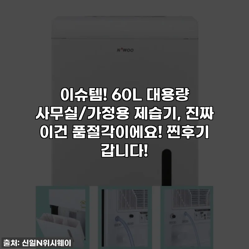 이슈템! 60L 대용량 사무실/가정용 제습기, 진짜 이건 품절각이에요! 찐후기 갑니다!