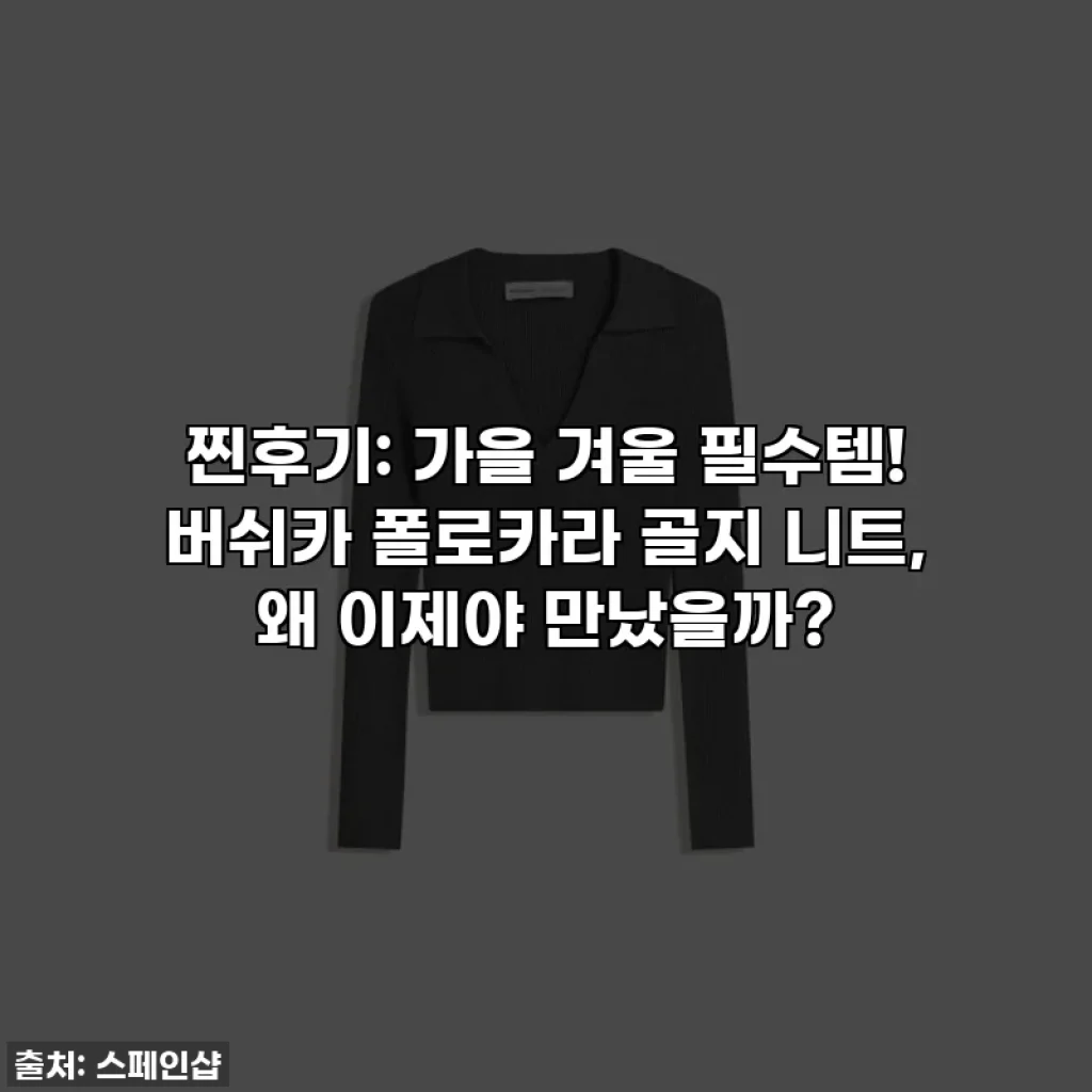 찐후기: 가을 겨울 필수템! 버쉬카 폴로카라 골지 니트, 왜 이제야 만났을까?