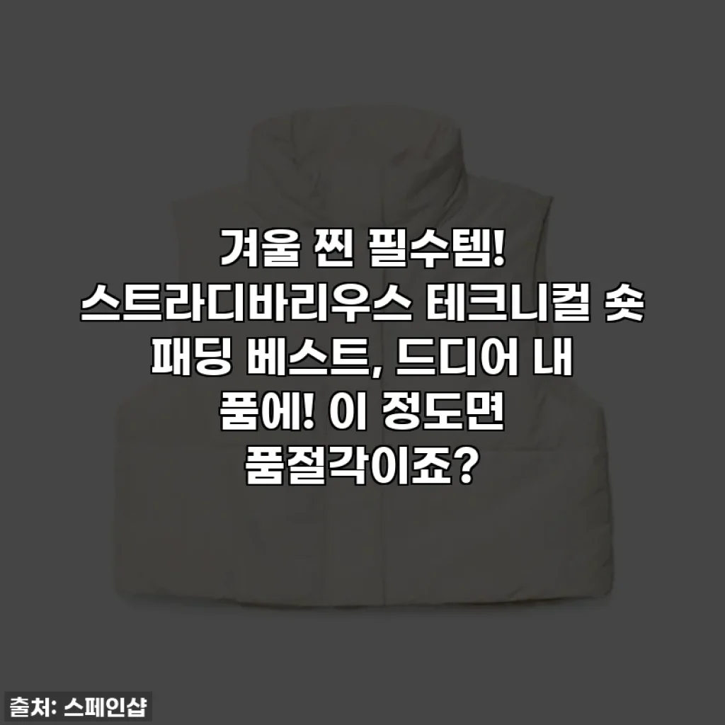 겨울 찐 필수템! 스트라디바리우스 테크니컬 숏 패딩 베스트, 드디어 내 품에! 이 정도면 품절각이죠?