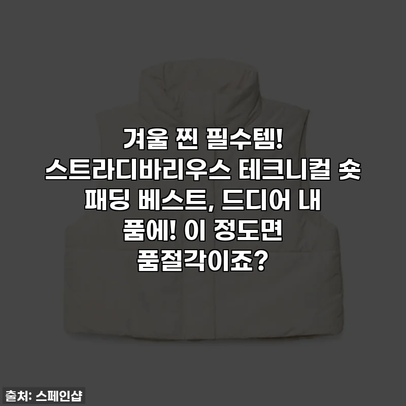 겨울 찐 필수템! 스트라디바리우스 테크니컬 숏 패딩 베스트, 드디어 내 품에! 이 정도면 품절각이죠?