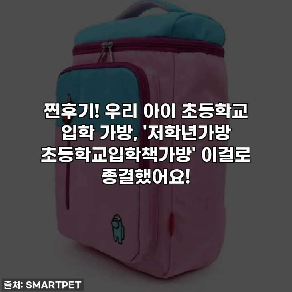 찐후기! 우리 아이 초등학교 입학 가방, '저학년가방 초등학교입학책가방' 이걸로 종결했어요!