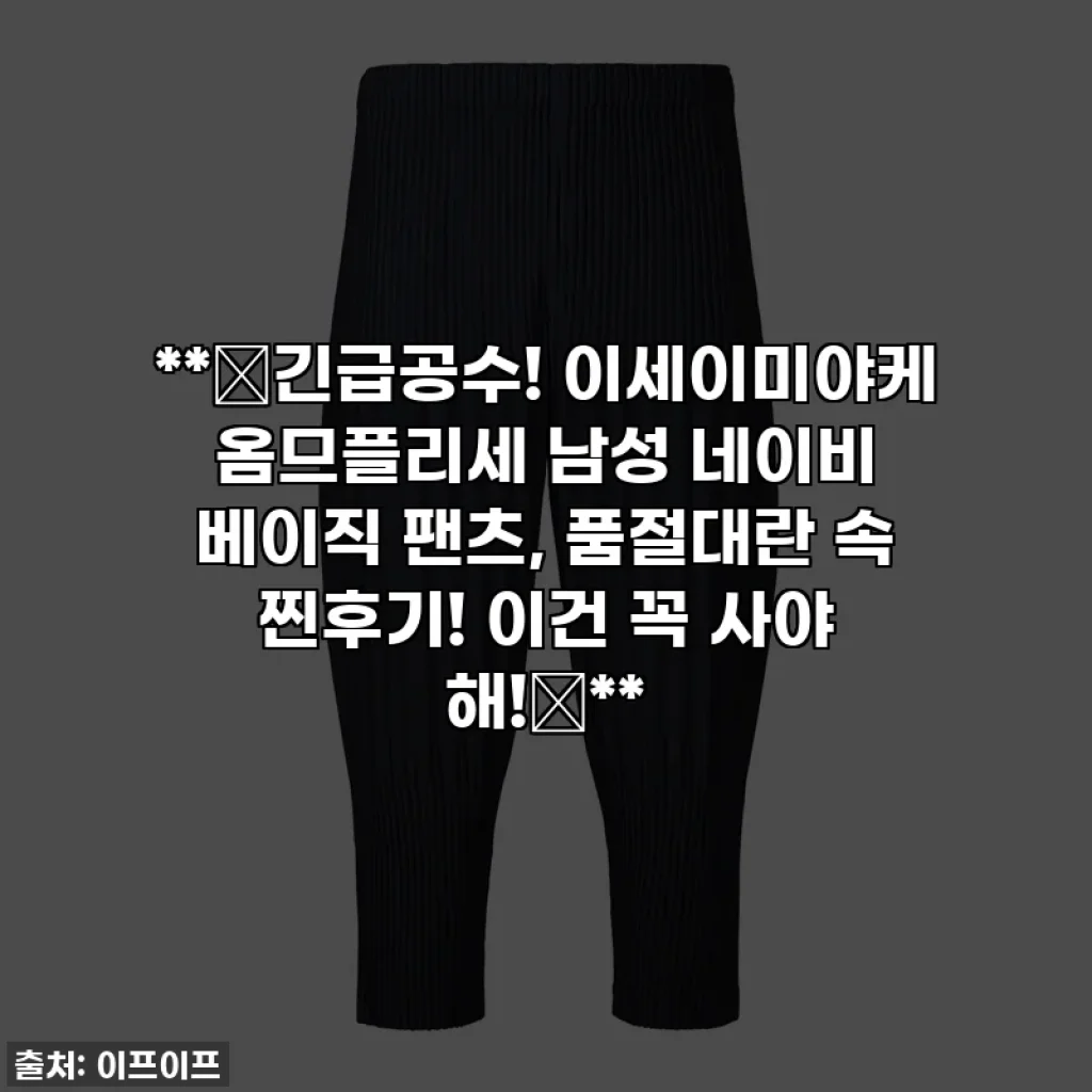 **🚨긴급공수! 이세이미야케 옴므플리세 남성 네이비 베이직 팬츠, 품절대란 속 찐후기! 이건 꼭 사야 해!🚨**
