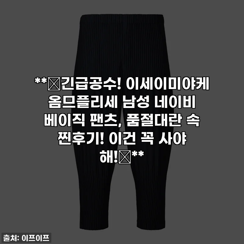 **🚨긴급공수! 이세이미야케 옴므플리세 남성 네이비 베이직 팬츠, 품절대란 속 찐후기! 이건 꼭 사야 해!🚨**