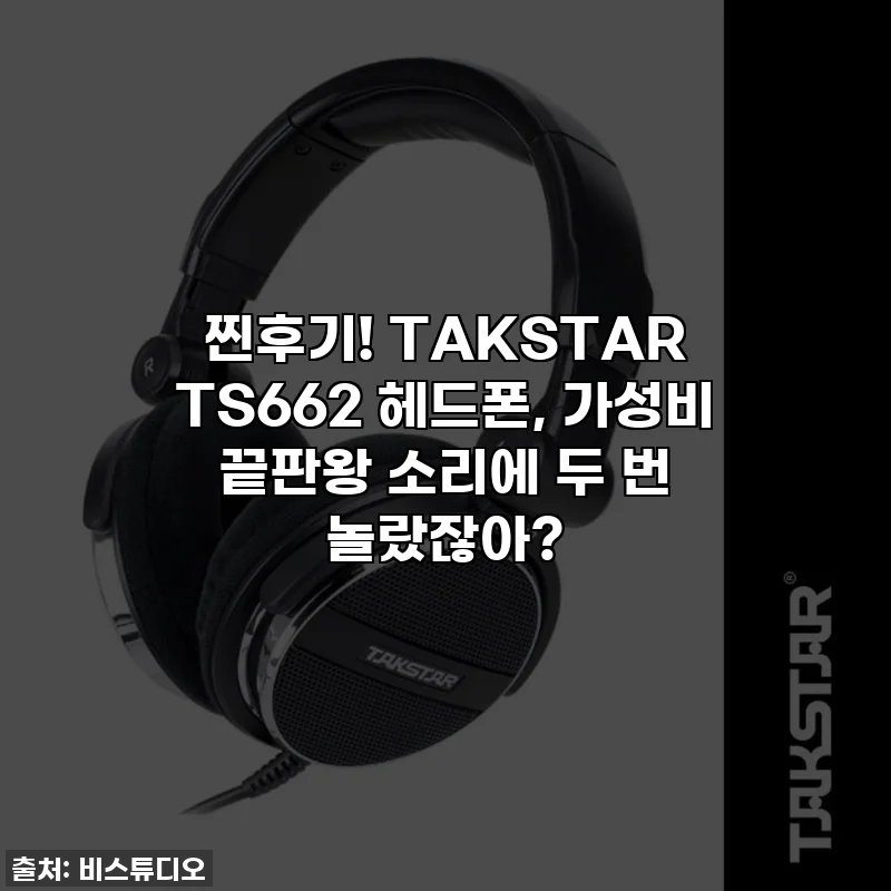찐후기! TAKSTAR TS662 헤드폰, 가성비 끝판왕 소리에 두 번 놀랐잖아?