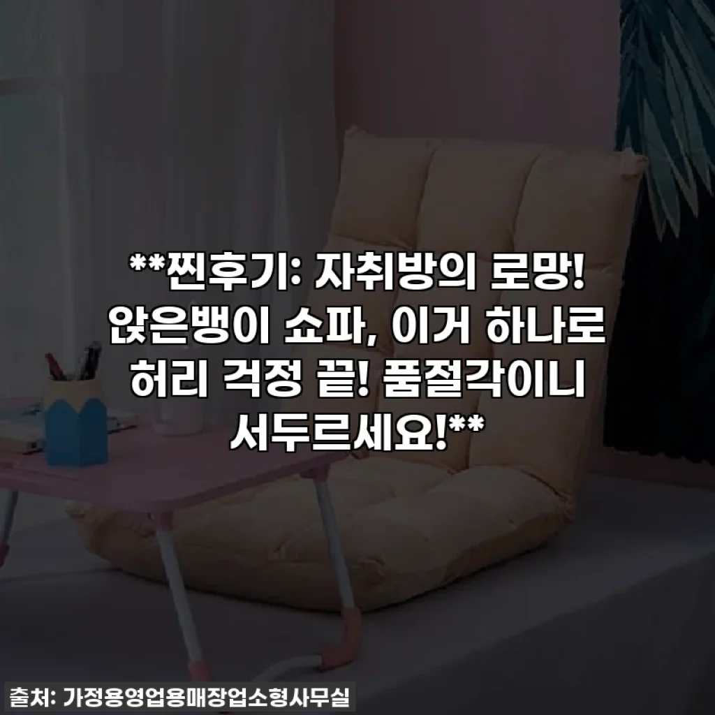 **찐후기: 자취방의 로망! 앉은뱅이 쇼파, 이거 하나로 허리 걱정 끝! 품절각이니 서두르세요!**