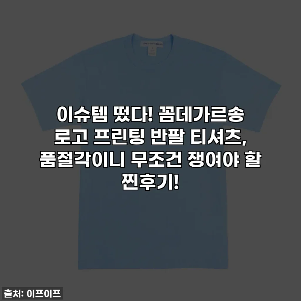 이슈템 떴다! 꼼데가르송 로고 프린팅 반팔 티셔츠, 품절각이니 무조건 쟁여야 할 찐후기!