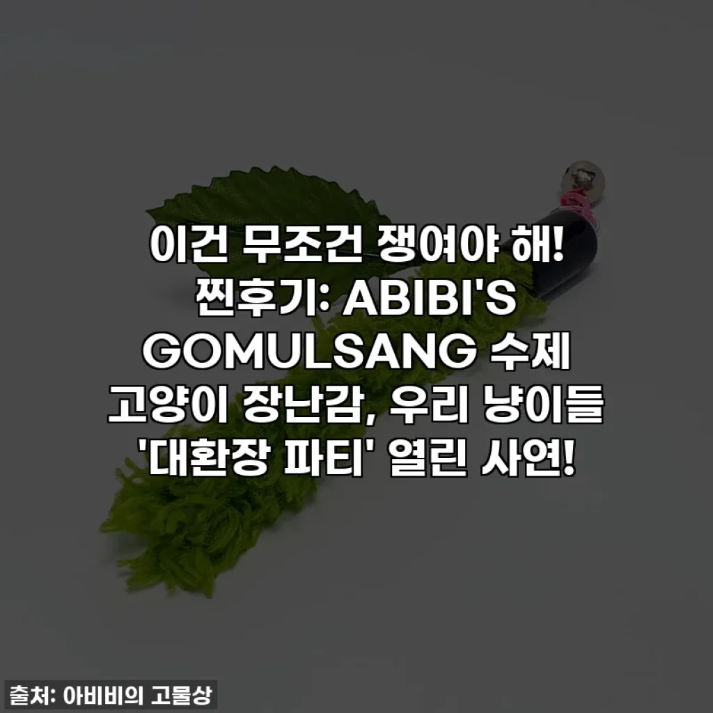 이건 무조건 쟁여야 해! 찐후기: ABIBI'S GOMULSANG 수제 고양이 장난감, 우리 냥이들 '대환장 파티' 열린 사연!