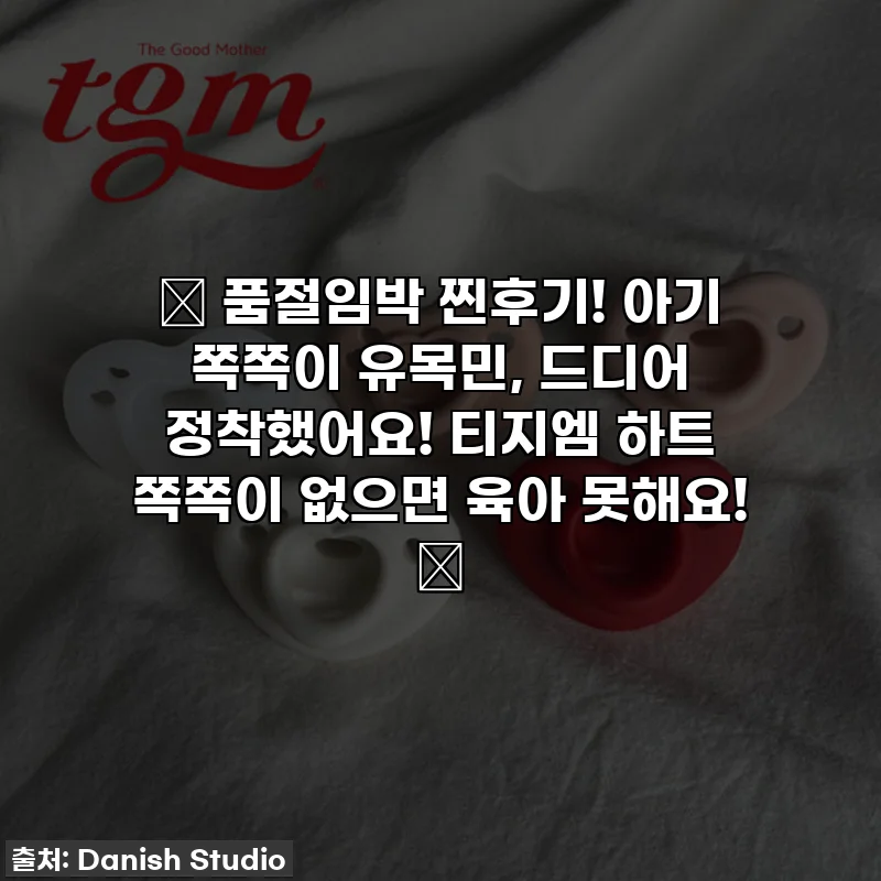 🚨 품절임박 찐후기! 아기 쪽쪽이 유목민, 드디어 정착했어요! 티지엠 하트 쪽쪽이 없으면 육아 못해요! 🚨