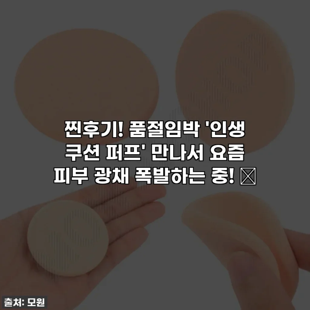 찐후기! 품절임박 '인생 쿠션 퍼프' 만나서 요즘 피부 광채 폭발하는 중! 🌟