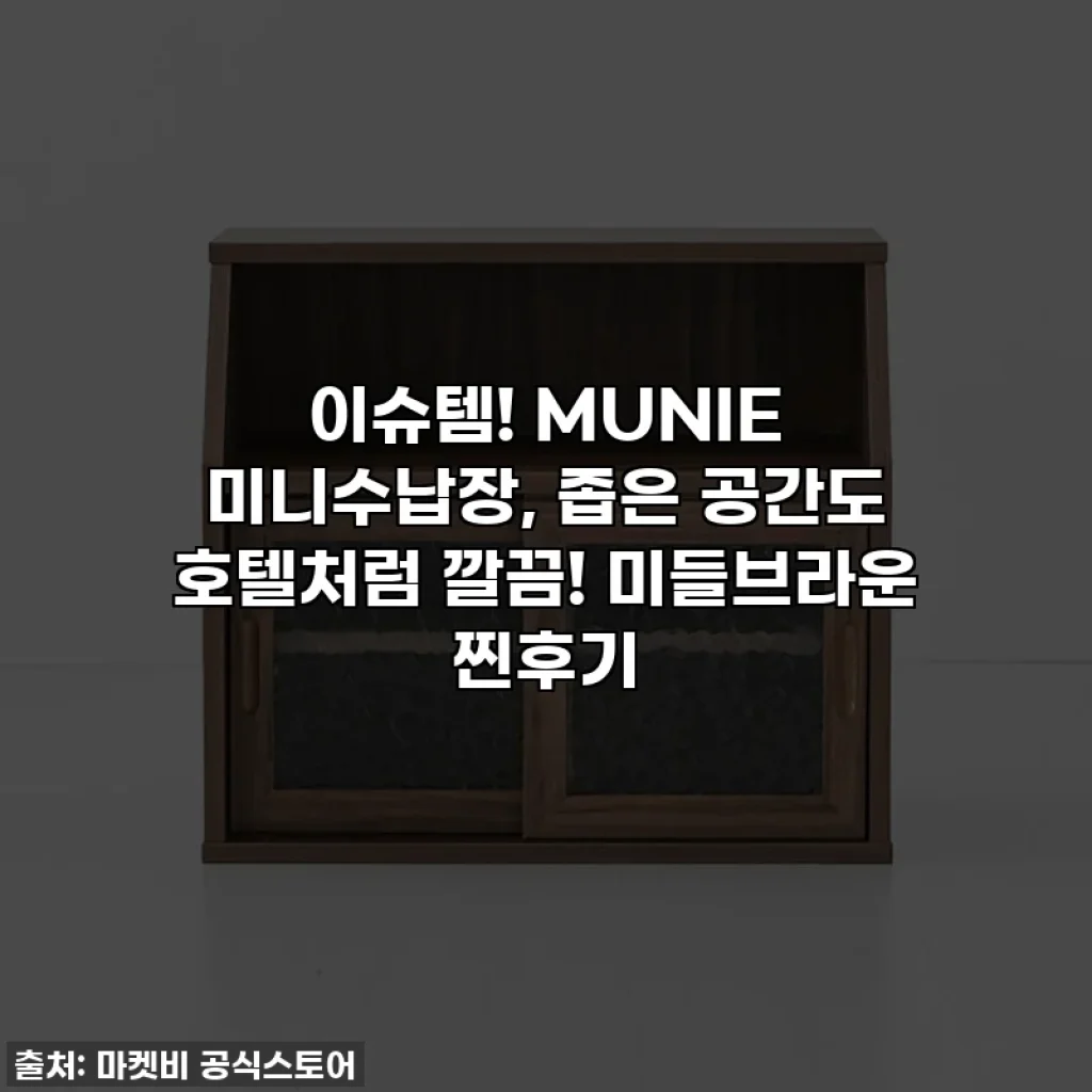 이슈템! MUNIE 미니수납장, 좁은 공간도 호텔처럼 깔끔! 미들브라운 찐후기