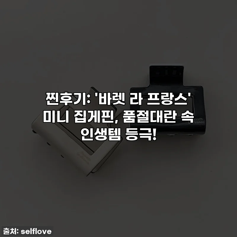 찐후기: '바렛 라 프랑스' 미니 집게핀, 품절대란 속 인생템 등극!