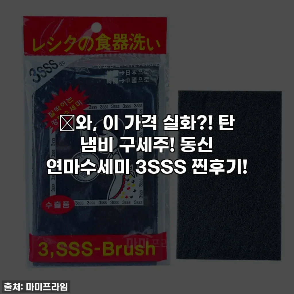 🔥와, 이 가격 실화?! 탄 냄비 구세주! 동신 연마수세미 3SSS 찐후기!