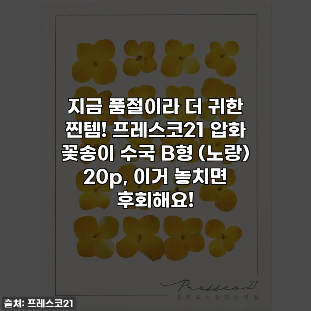 지금 품절이라 더 귀한 찐템! 프레스코21 압화 꽃송이 수국 B형 (노랑) 20p, 이거 놓치면 후회해요!