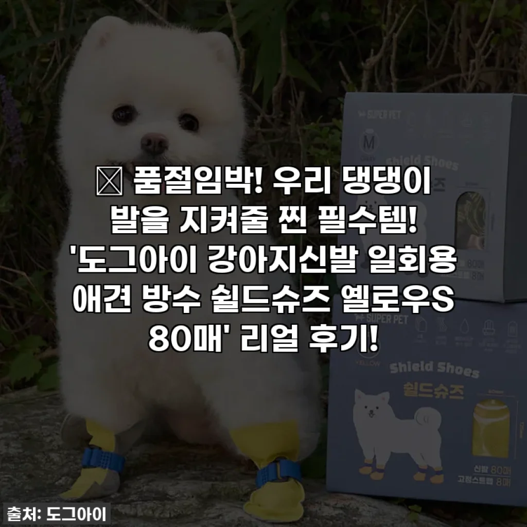 ✨ 품절임박! 우리 댕댕이 발을 지켜줄 찐 필수템! '도그아이 강아지신발 일회용 애견 방수 쉴드슈즈 옐로우S 80매' 리얼 후기!