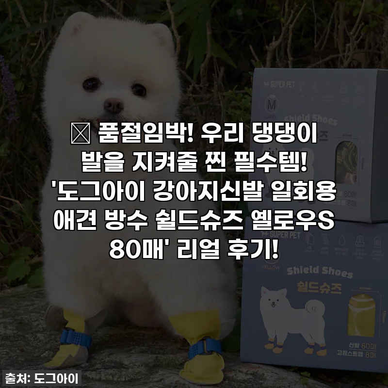 ✨ 품절임박! 우리 댕댕이 발을 지켜줄 찐 필수템! '도그아이 강아지신발 일회용 애견 방수 쉴드슈즈 옐로우S 80매' 리얼 후기!