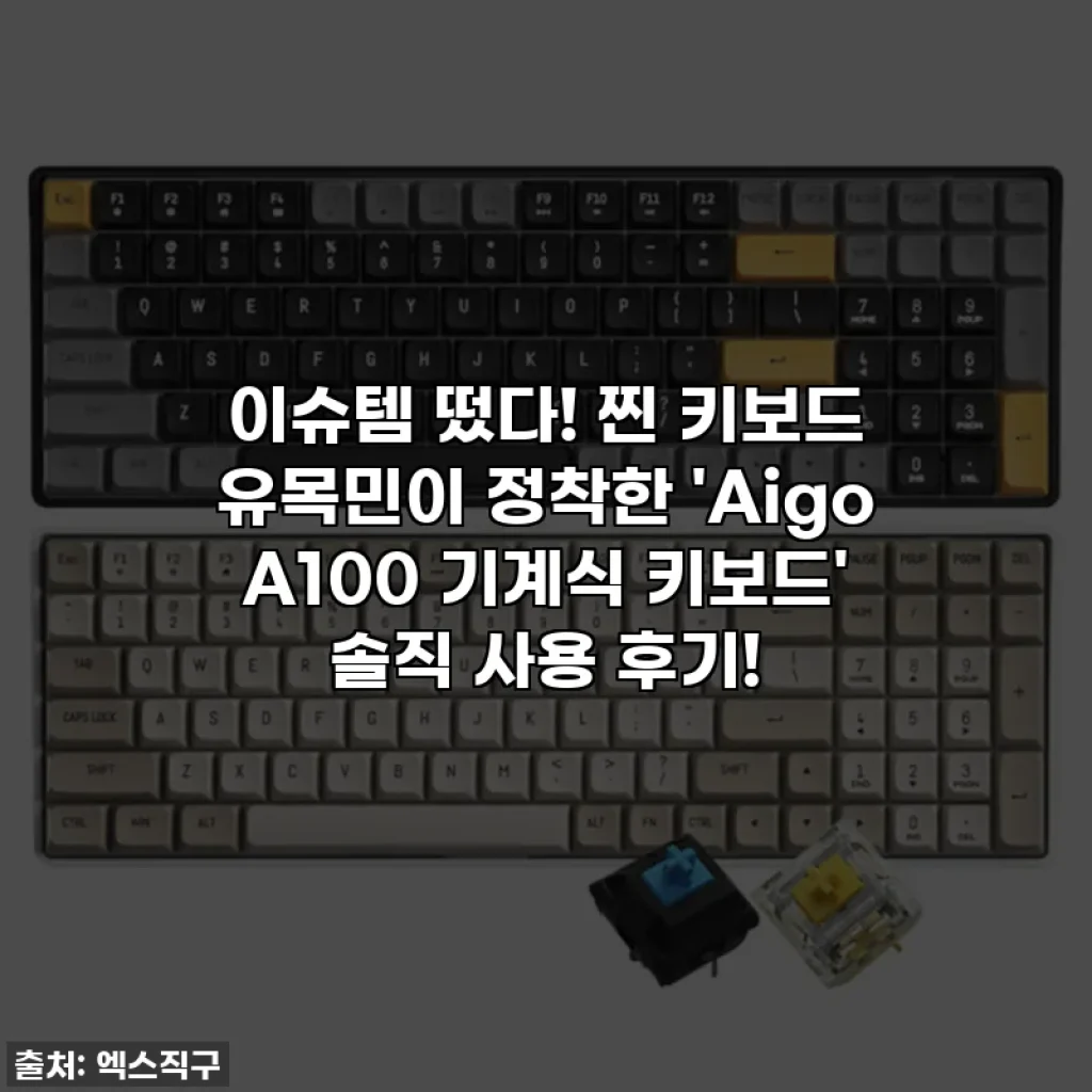 이슈템 떴다! 찐 키보드 유목민이 정착한 'Aigo A100 기계식 키보드' 솔직 사용 후기!