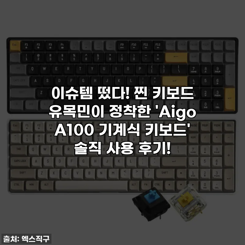 이슈템 떴다! 찐 키보드 유목민이 정착한 'Aigo A100 기계식 키보드' 솔직 사용 후기!