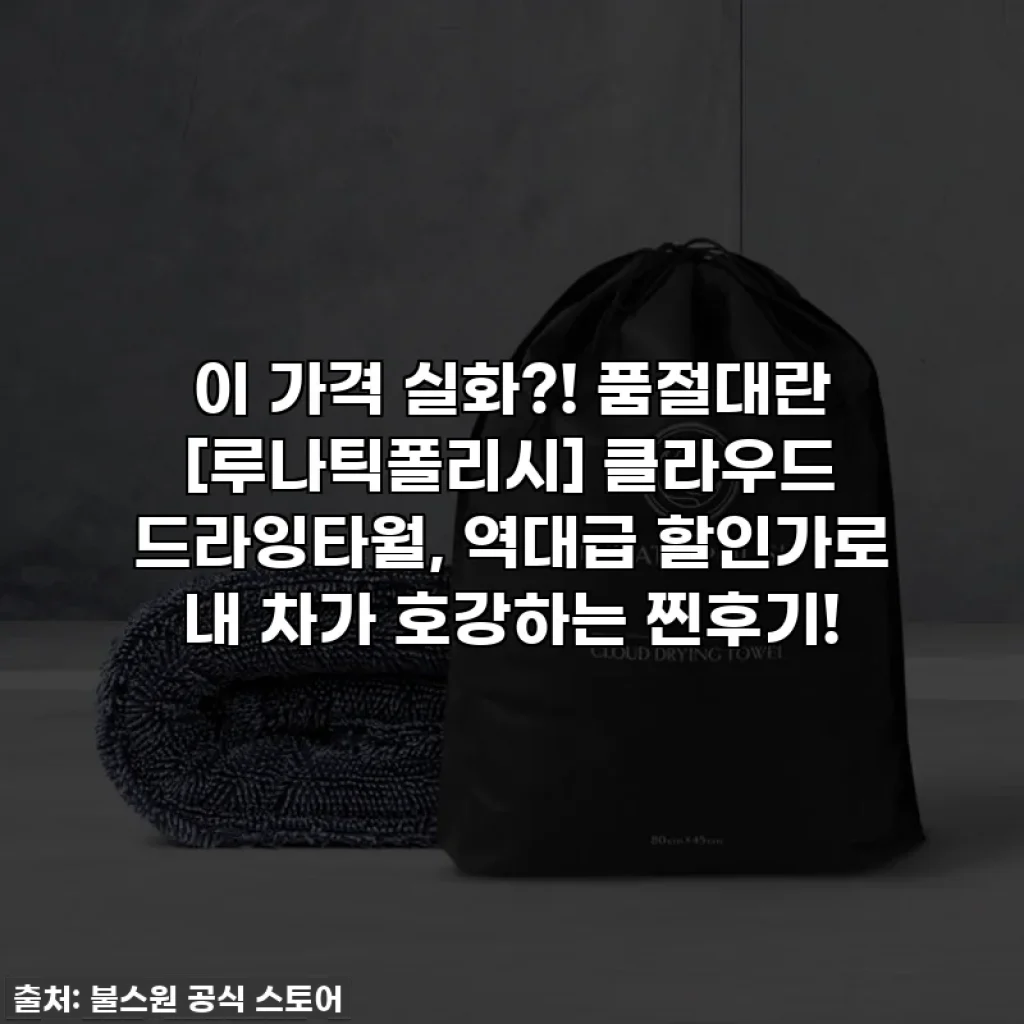 이 가격 실화?! 품절대란 [루나틱폴리시] 클라우드 드라잉타월, 역대급 할인가로 내 차가 호강하는 찐후기!