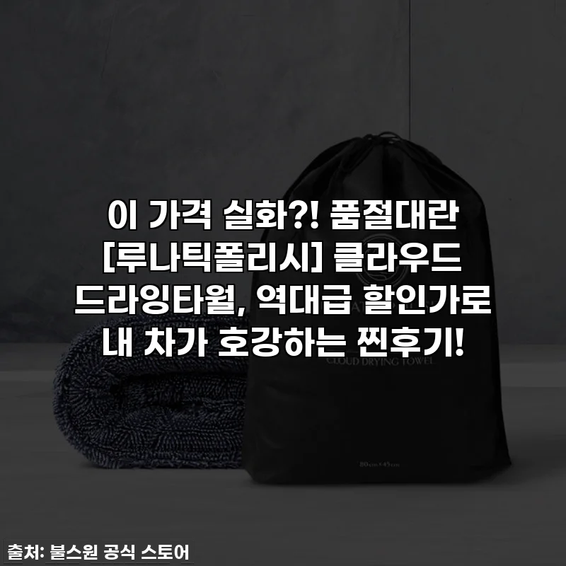 이 가격 실화?! 품절대란 [루나틱폴리시] 클라우드 드라잉타월, 역대급 할인가로 내 차가 호강하는 찐후기!