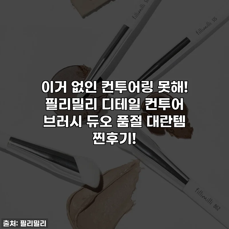 이거 없인 컨투어링 못해! 필리밀리 디테일 컨투어 브러시 듀오 품절 대란템 찐후기!