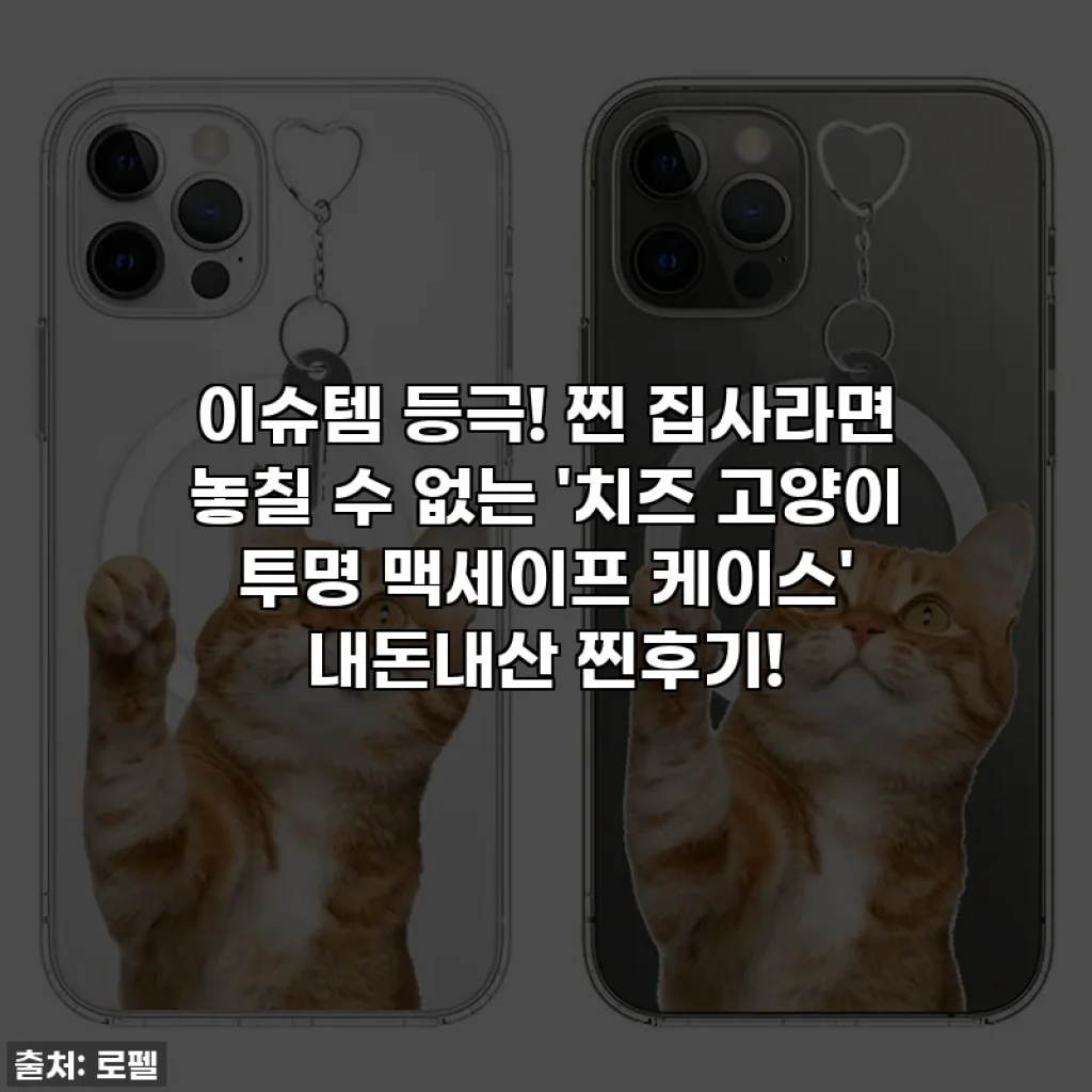 이슈템 등극! 찐 집사라면 놓칠 수 없는 '치즈 고양이 투명 맥세이프 케이스' 내돈내산 찐후기!