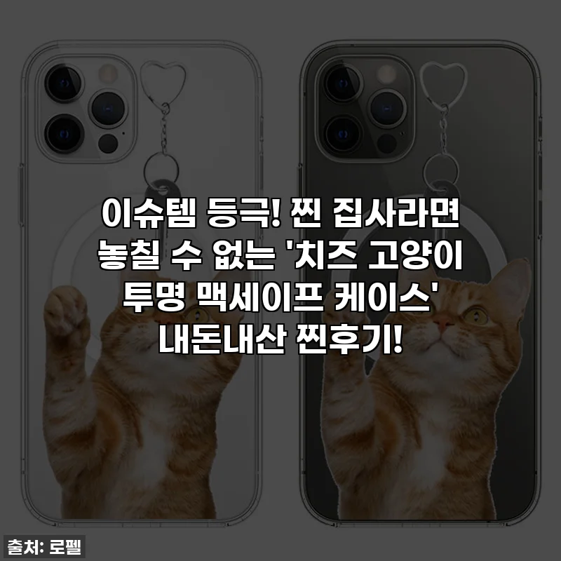 이슈템 등극! 찐 집사라면 놓칠 수 없는 '치즈 고양이 투명 맥세이프 케이스' 내돈내산 찐후기!