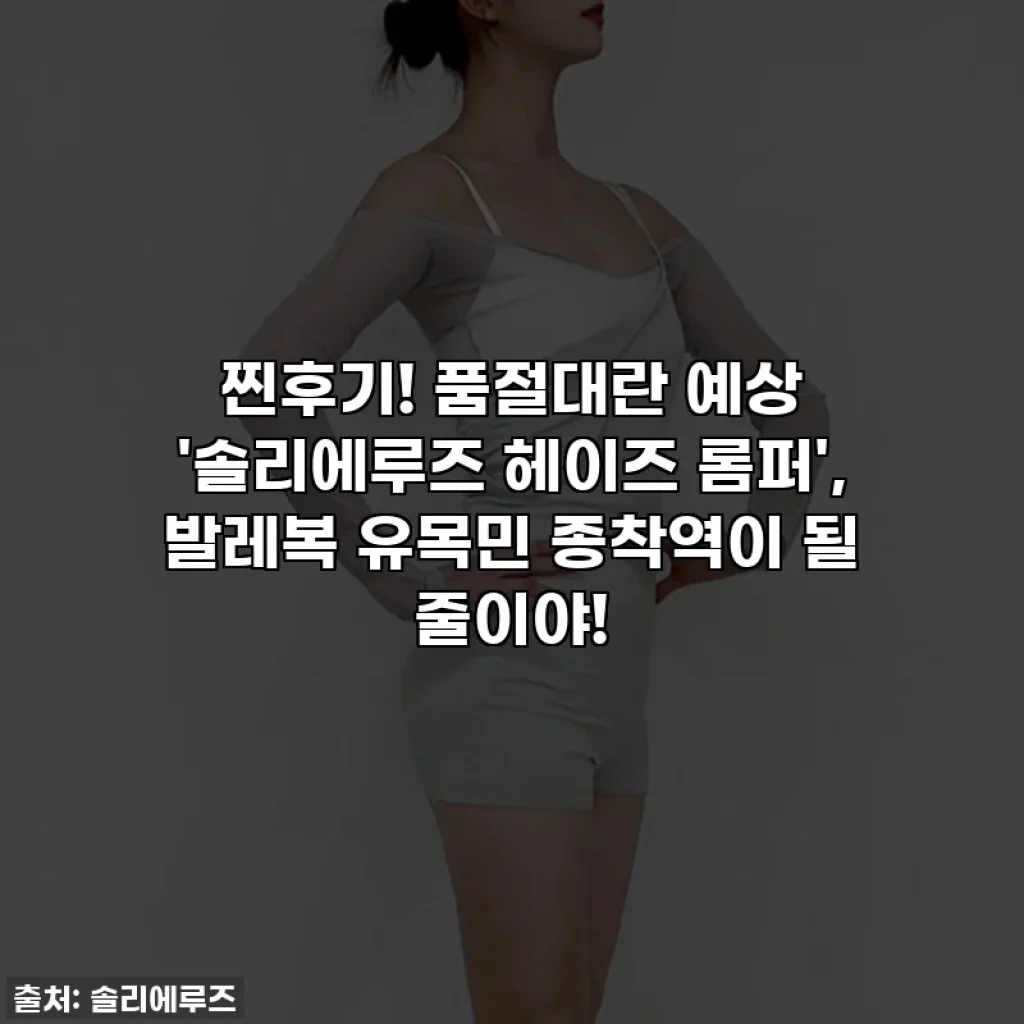 찐후기! 품절대란 예상 '솔리에루즈 헤이즈 롬퍼', 발레복 유목민 종착역이 될 줄이야!