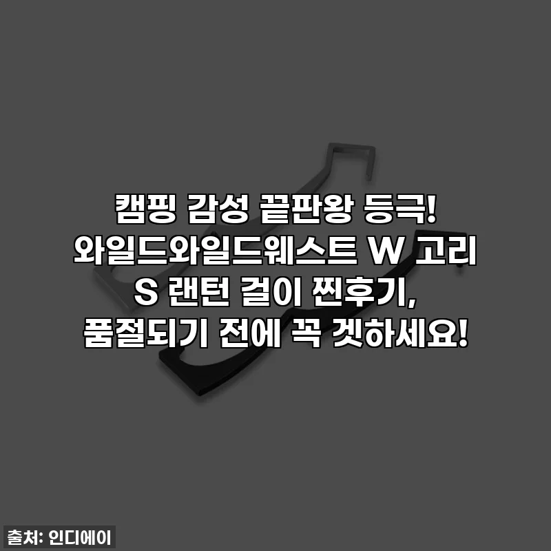 캠핑 감성 끝판왕 등극! 와일드와일드웨스트 W 고리 S 랜턴 걸이 찐후기, 품절되기 전에 꼭 겟하세요!