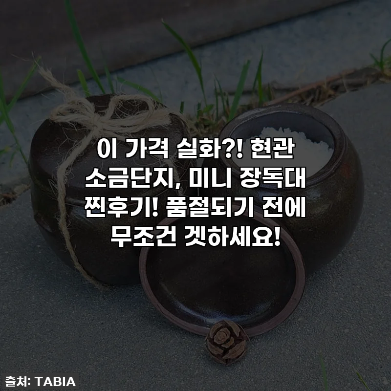 이 가격 실화?! 현관 소금단지, 미니 장독대 찐후기! 품절되기 전에 무조건 겟하세요!