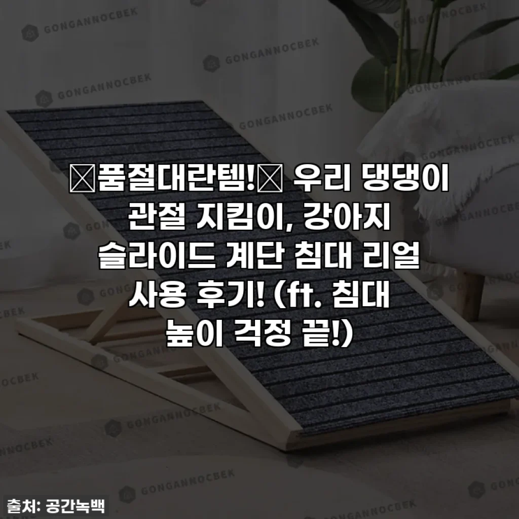 🚨품절대란템!🚨 우리 댕댕이 관절 지킴이, 강아지 슬라이드 계단 침대 리얼 사용 후기! (ft. 침대 높이 걱정 끝!)