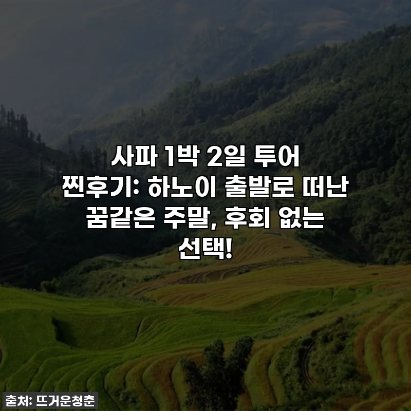 사파 1박 2일 투어 찐후기: 하노이 출발로 떠난 꿈같은 주말, 후회 없는 선택!