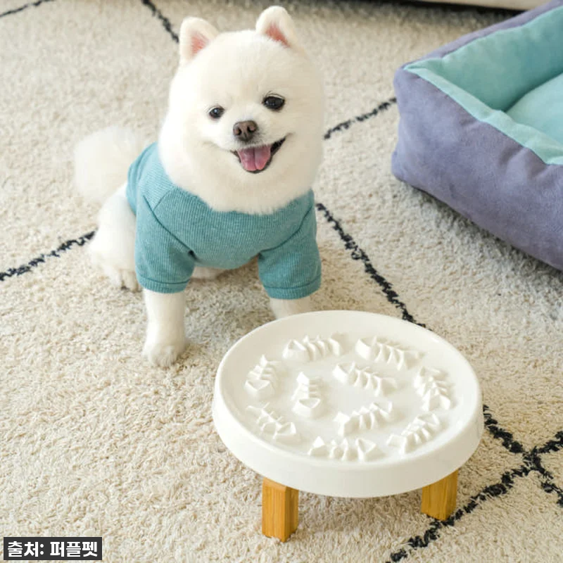 고양이 슬로우식기! 우리 냥이 급체 관련 이미지 1