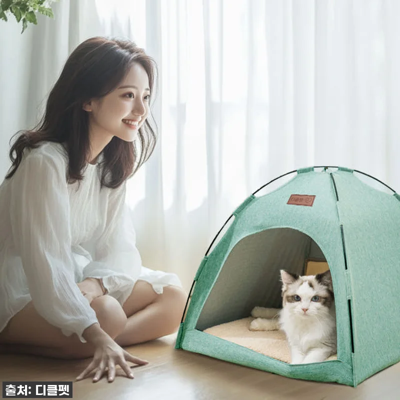 이건 무조건 사야 해! 댕냥이 집이 관련 이미지 1