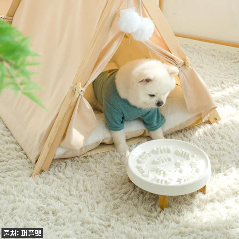고양이 슬로우식기! 우리 냥이 급체 관련 이미지 2