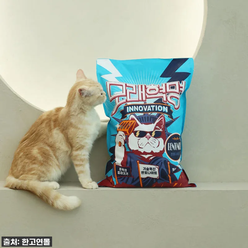 찐후기! 냥이들이 난리부르스 추는 ' 관련 이미지 1
