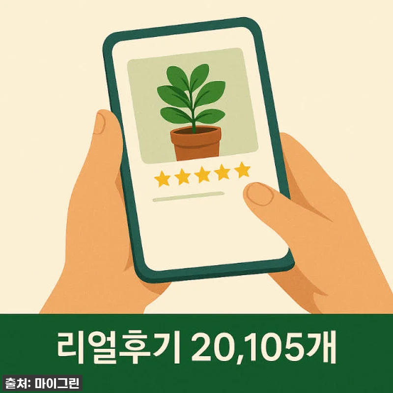 품절임박! 우리 집 겨울 분위기 확 관련 이미지 3