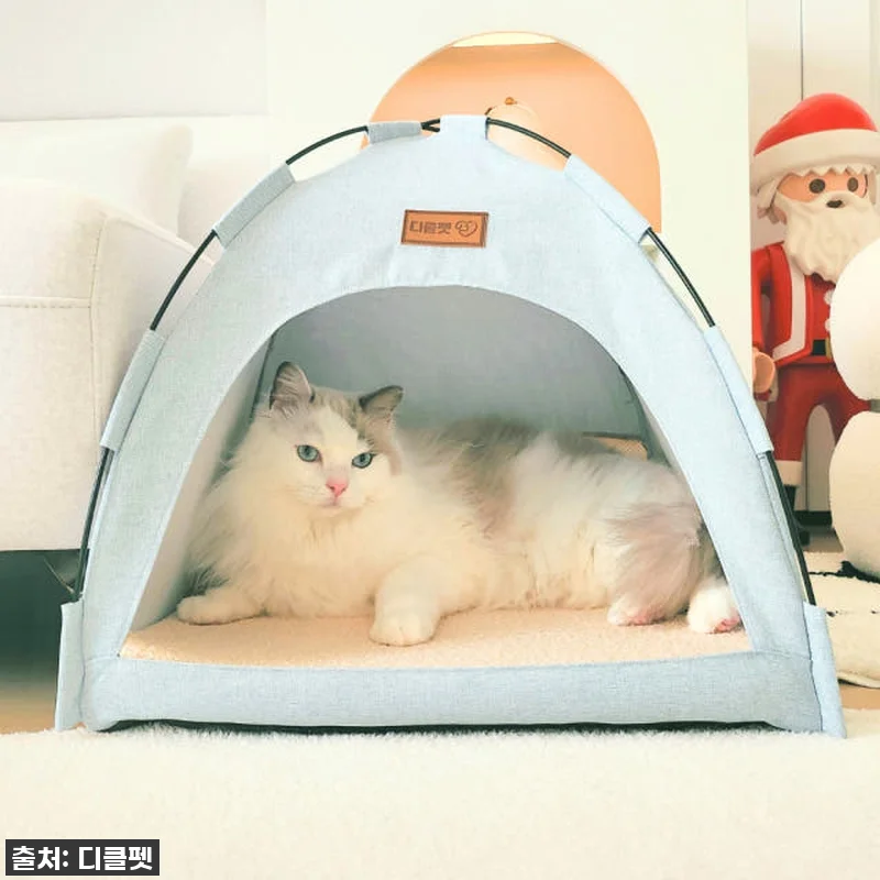 이건 무조건 사야 해! 댕냥이 집이 관련 이미지 2