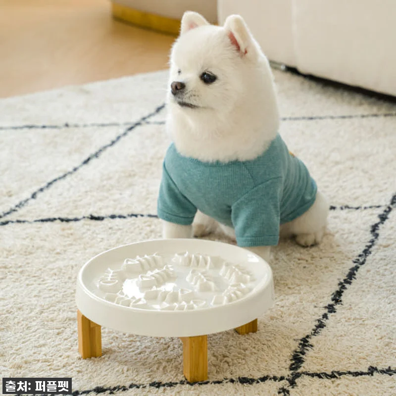 고양이 슬로우식기! 우리 냥이 급체 관련 이미지 4